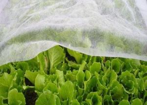 Wholesale Durable Hydrophilic PP Non Woven Anti Insect Warmth Light Transmission For Agricultural from china suppliers