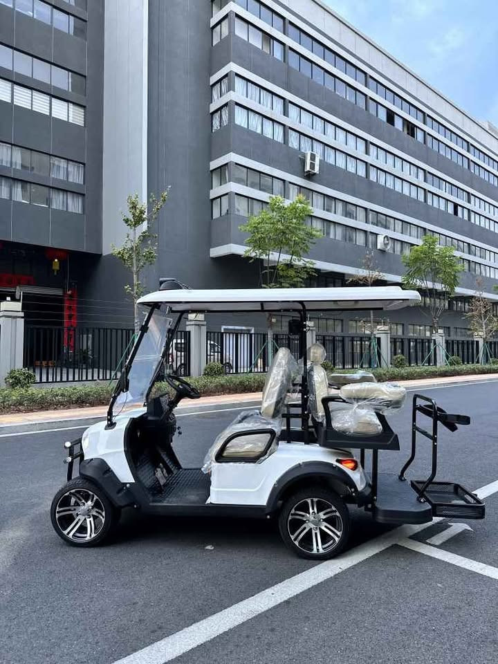 110v-220V Charging Input 4 Seater Golf Buggy Electric Vehicle With Seatbelts And Rollover Protection
