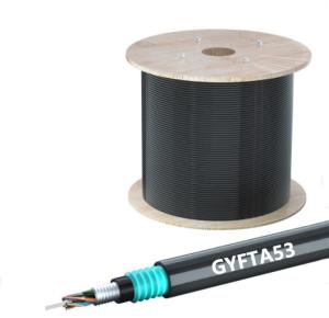 Wholesale Outdoor Armored Fiber Optic Cable GYFTA53 1 2 4 Core for Long-Lasting Communication from china suppliers