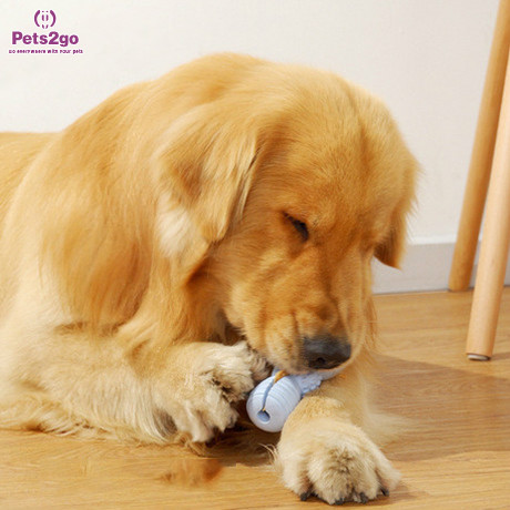 Pets2go Interactive Rubber 127x44mm Pet Chew Toys