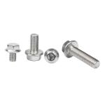 Stainless Steel Carriage Bolts DIN6921 A4-80 Grade M12 M16 M20 Hex Serrated