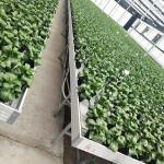 ABS Plastic Greenhouse Accessories Greenhouse Rolling Bench PEP Film Covering
