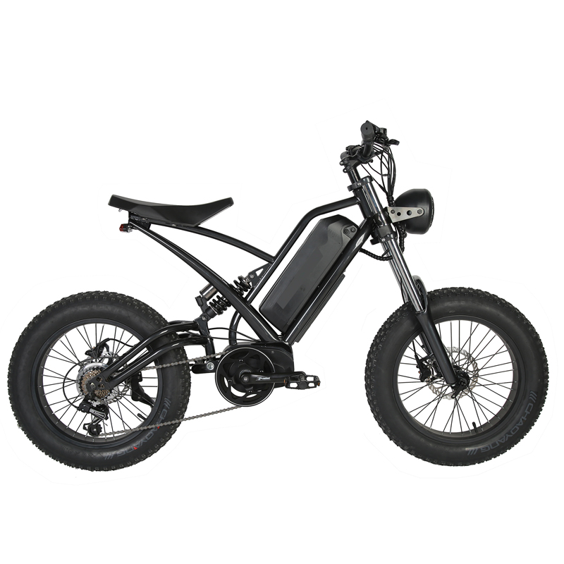 Range per Power 60 km 750W 48V Style Dirt Bike for Adults CE FCC Rohs Certified
