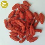 Chinese Goji Berry Dried Fruit Goji Berries/Goji Berry goji certified organic