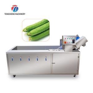 Wholesale Residues Degraded Conveyor Belt Fruit And Vegetable Washing Machine 1000KG/H from china suppliers