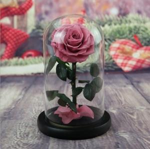 Wholesale Best Valentines Day Gifts Multiple Colours Preserved Everlasting Real Rose Flower in Glass Dome from china suppliers