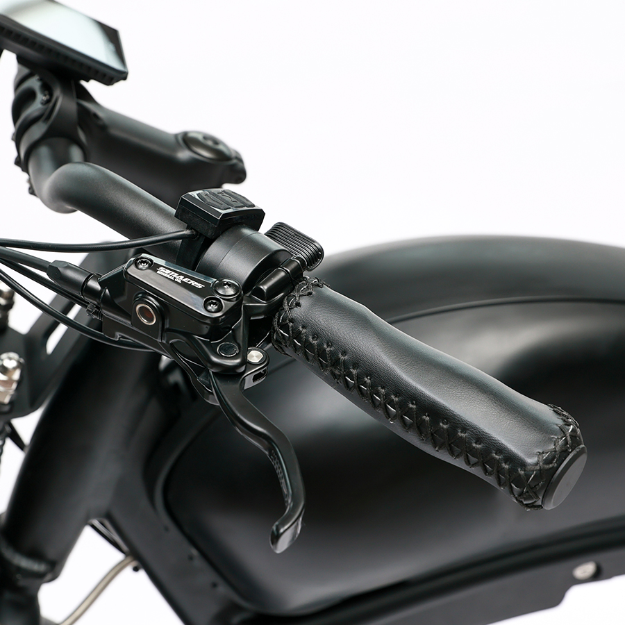 Long Range 48V 750W Rear Hub Motor Electric Motorbike with 48V 20Ah Lithium Battery