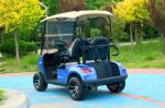 Blue 2 Seater Electric Golf Cart Lead Acid Battery Lithium Battery Support