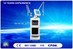 Lip Line / Eyebrow Design Laser Tattoo Removal Machine Q-Switch 10 Hz , Medical