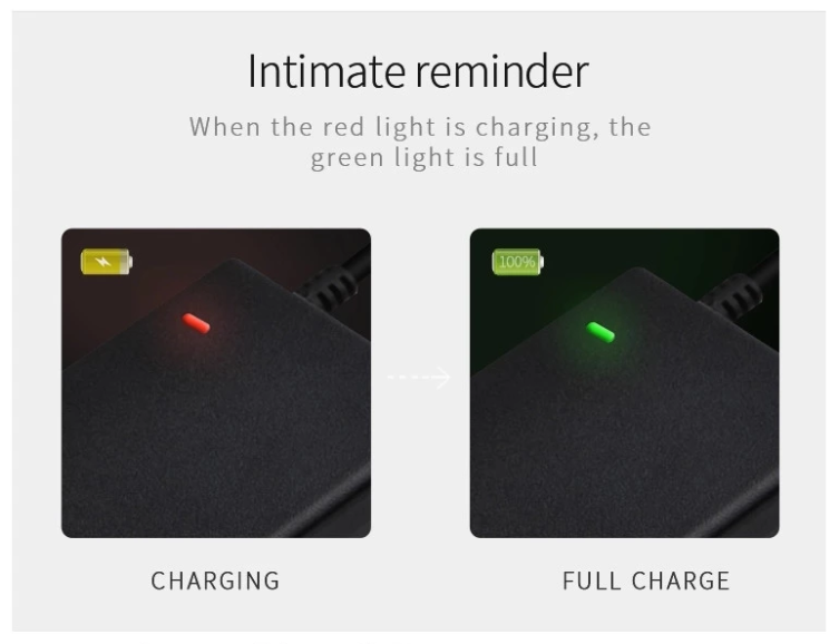 Universal Lithium Battery Charger 12v 15V 29.4v 36v 2a Camera Electric Motorcycle Scooter