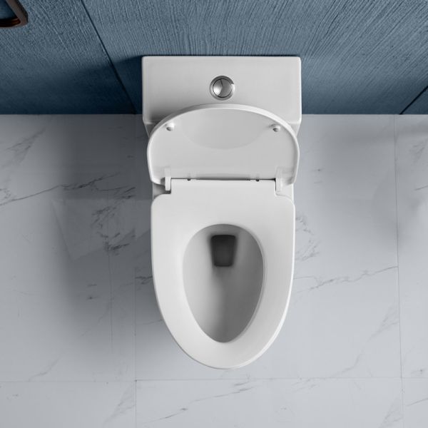 Dual Flush Elongated One Piece Toilets 0.9/1.3 GPF Siphon Jet