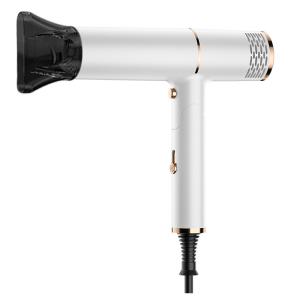 Wholesale Fashionable Purple Energy Saving Lightweight Small Hair Dryer with ABS PC from china suppliers