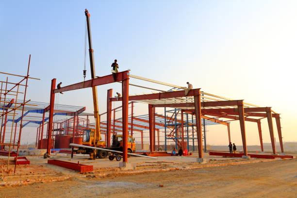Fully Automated High-Density Vertical Layer Cage System with Corrosion Resistant Multi-Tier Battery Cage