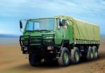 Military 8x8 Heavy Cargo Trucks With EURO III Standard , OFF ROAD TRUCK