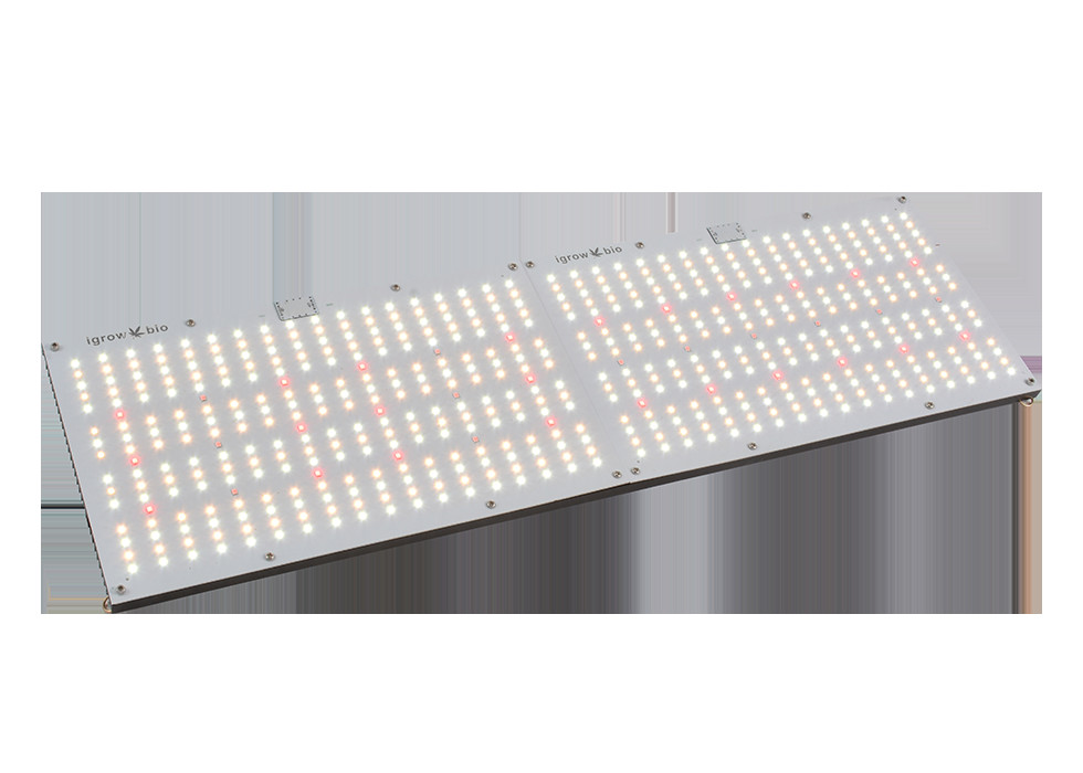 Separate Hanger 240W 3500K Indoor Horticulture Lighting