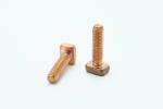 Conductive Non Standard Fastener , M8x30mm T Shape Screw For Golf Cart