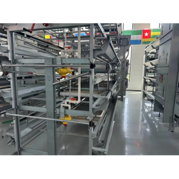 Corrosion Resistant Poultry Equipment with Adjustable Ventilation System for Automatic Feeding and Egg Collection