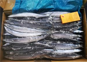 Wholesale Healthy Fresh #2 90g Frozen Saury Fish For Grilling from china suppliers