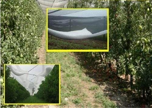 Pure HDPE Insect Mesh Netting Orchard Apple Tree Plastic Anti Hail Plastic Net Cover