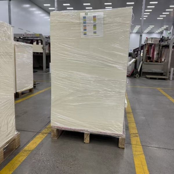 Greaseproof Heat Insulation Raw Material PLA Coated Paper Cup Paper Bowls Paper Boxes Paper Cup Sheet