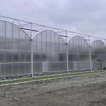 Agricultural Shed Large Polycarbonate Sheet Greenhouse Steel Pipe Light Material