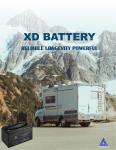Custom Lead Acid 100 Ah 12v Lifepo4 Battery For Ups