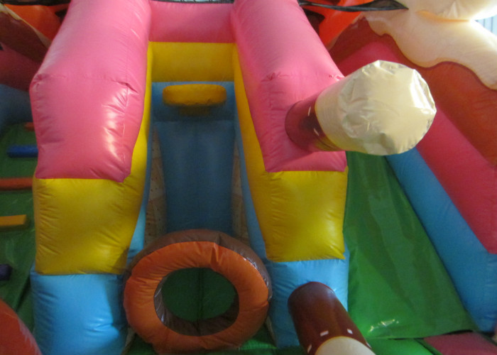 Lovely bear inflatable standard slide for kids inflatable bear slide house on sale inflatable brown bear standard slide