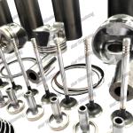 Situation Rebuild Kit D34 Other Certification for Smooth Operation
