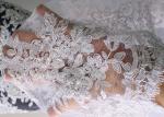 Embroidery Pearl Floral Corded Lace Fabric , White Bridal Lace Fabric With