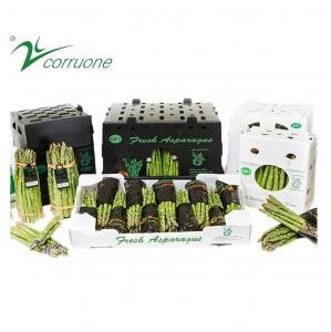 China 2mm 3mm Asparagus Folding Corrugated Plastic Boxes Polypropylene PP on sale