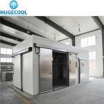 Customization Cold Room Chiller/Freezer Room Sliding Door Hinged Door Keeping