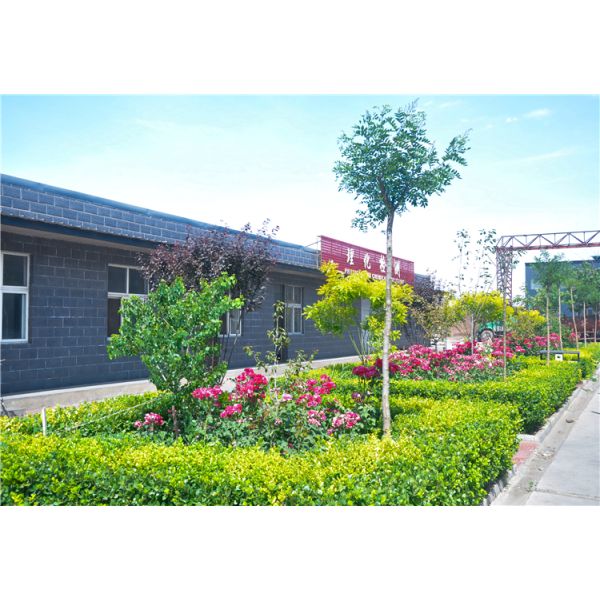 250psi Pipe Bends And Fittings Wp5 Wp9 Wp91 For Petroleum Field