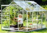 Small Hobby Flower Garden Greenhouse With Casement Door Simple Firm