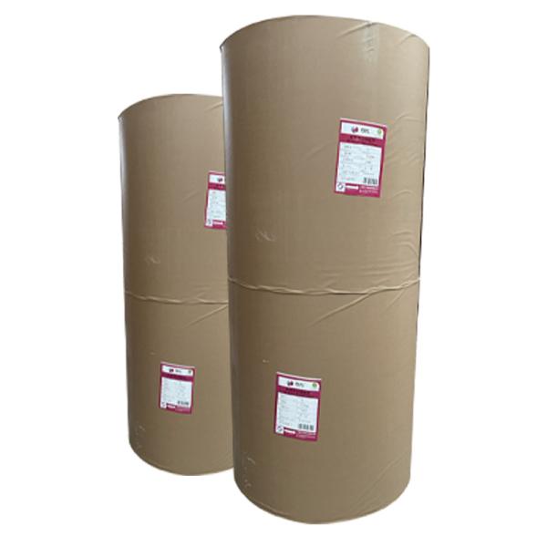 One Side Coated Woodfree Paper Environmentally Friendly For Excellent Image