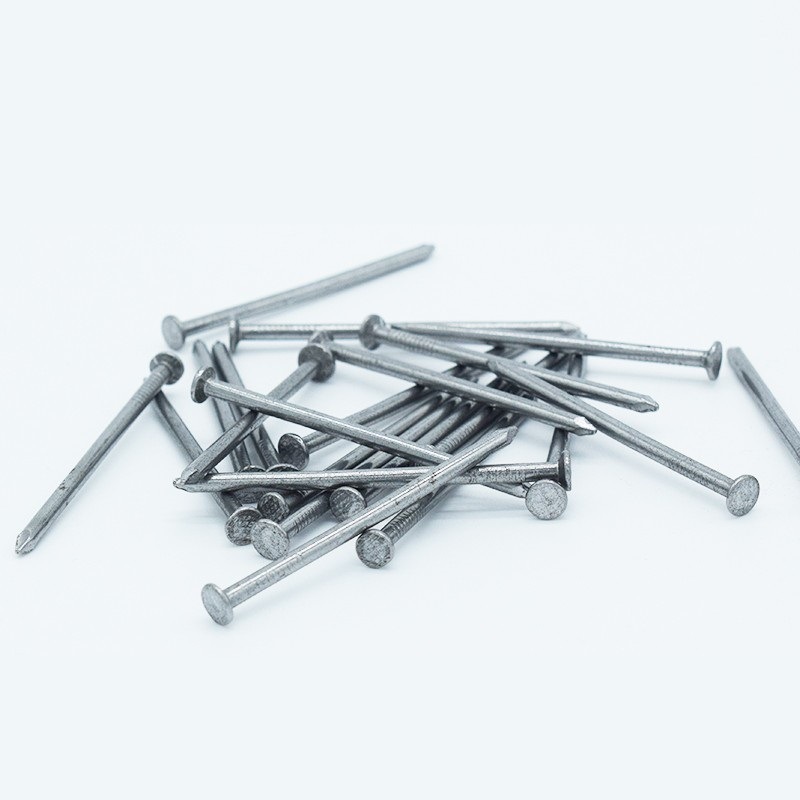 1in Flat Head Diameter Carbon Steel Iron Wire Nails for Wood Furniture Roofing Common