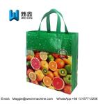 Fruit printing Promotional Ultrasonic Non woven Supermarket Shopping Bags