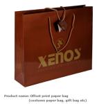 Luxury Paper Gift Bags Paper Carrier Bag Party Bag with Handles,Low Cost Ribbon