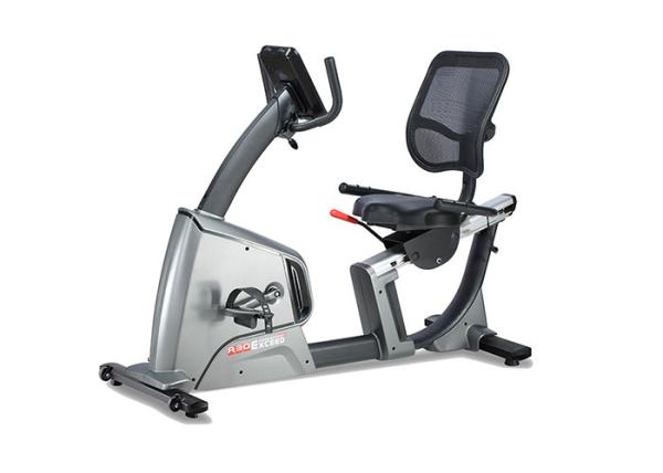 Cardio Gym Recumbent Bike , Recumbent Bike Indoor Trainer Popular Floor Level