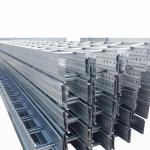 Corrosion Resistant Wall Mounted Ladder Cable Tray For Industrial Heavy Loads