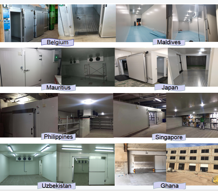 High-quality cold storage for the storage of frozen meat and seafood