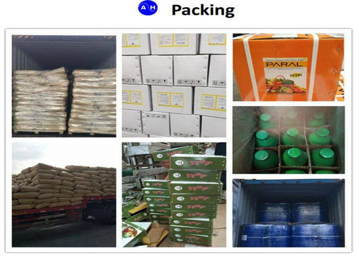 Magnesium Chelate Water Soluble Fertilizer For Spruce Trees Young Trees