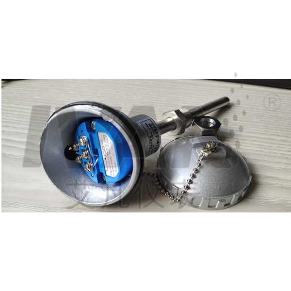 Customized Support OEM High Temperature Armored WZP Temperature Sensor for Industrial