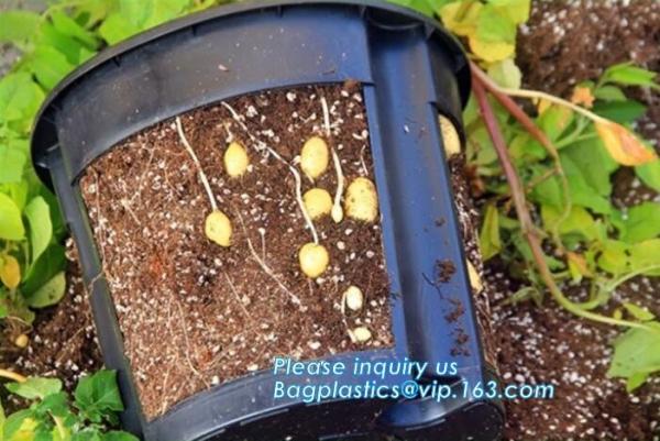 Green Gardening Supplies Simple Double Color Plastic,seeding nursery pots with