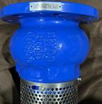 GGG50 H42X cast iron flanged foot valve manufacturer in China