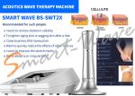 Beauty Salon BS-SWT2X Acoustic Wave Therapy Machine Cellulite Removal 1 Year