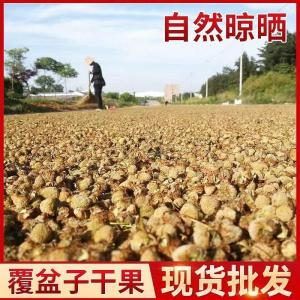 Wholesale Sell Premium Dried Raspberry for Men Strong Herbal Tea Chinese Herbs Dried Raspberry Fruit(Fu Pen Zi) from china suppliers