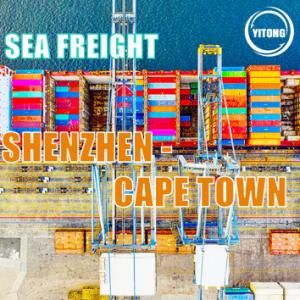 Wholesale Shenzhen to Cape Town International Sea Freight Service FOB CIF EXW Trade Term from china suppliers