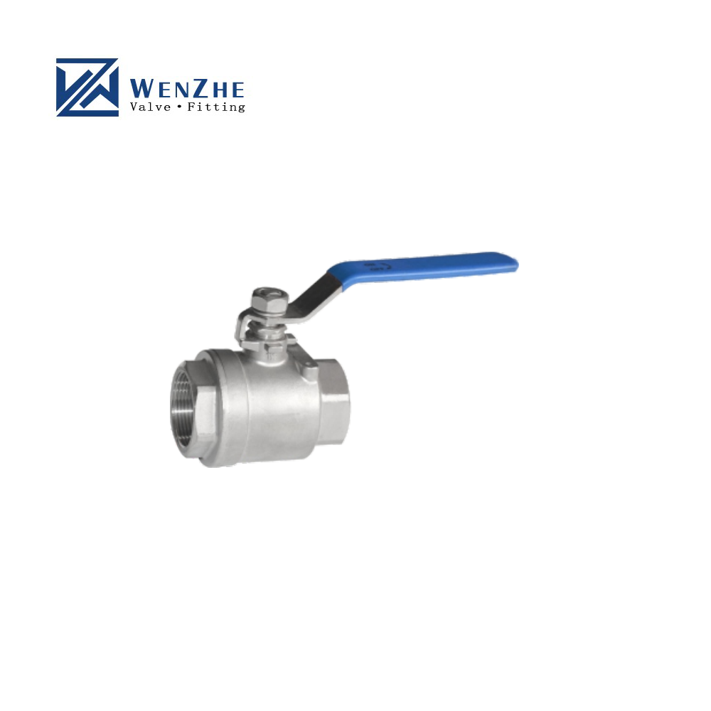 DN20 SS316 Female Threaded Manual Control Ball Valve with Hexagon/Round Head Code