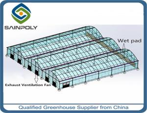 Wholesale Economical Gothic Arch Greenhouse , Commercial Greenhouse Structures Customized Design from china suppliers