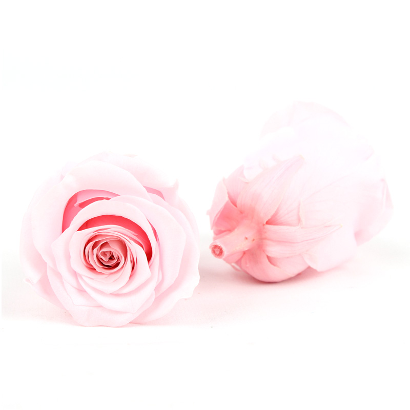 Home Decoration Preserved Rose Heads For Arrangements And Decorations